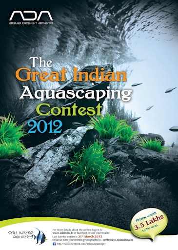 http://www.naturalaquascaping.com