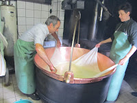 Swiss cheese farm