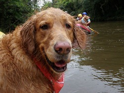 [Pet%2527s%25205%2520%252883%2529%255B6%255D.jpg]