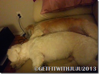SLEEPINGDOGS