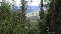 Parsons Road-Haberles Hut 09.jpg Photo
