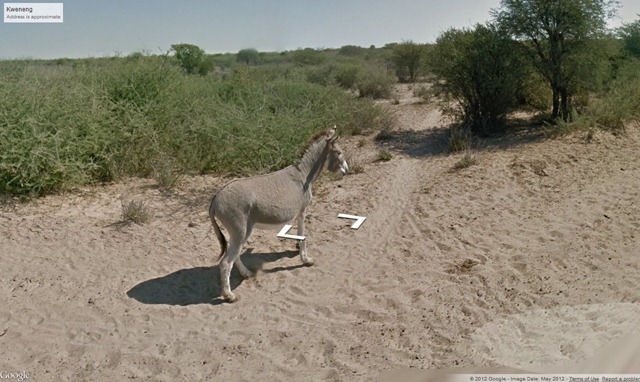 Google Shot the Street View car