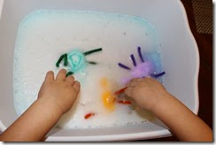 IMG_6107 IMG_6107