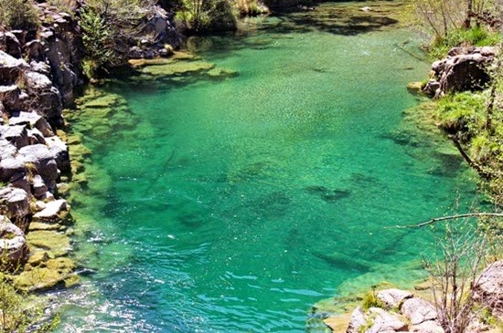 fossil creek