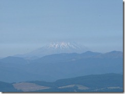 P1040316