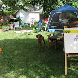 IMG0006.JPG