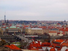 IMG_2497