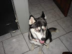 DSC05446.JPG