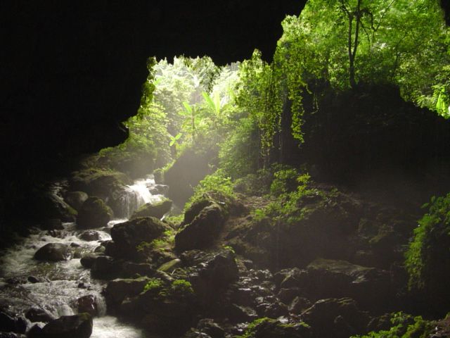 DSC03263.JPG