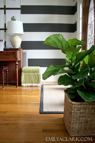 [fig-tree-in-foyer%255B9%255D.jpg]