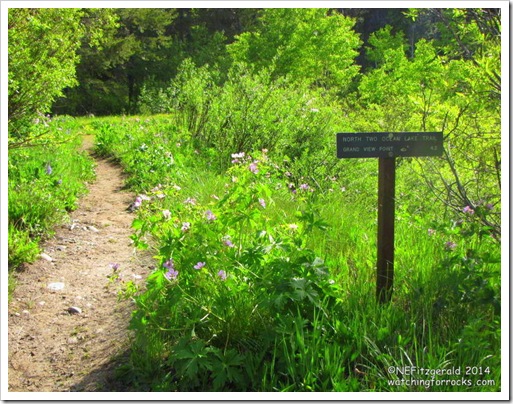 IMG_6919TrailSign IMG_6919TrailSign