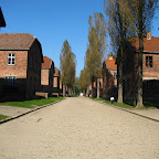 137.JPG