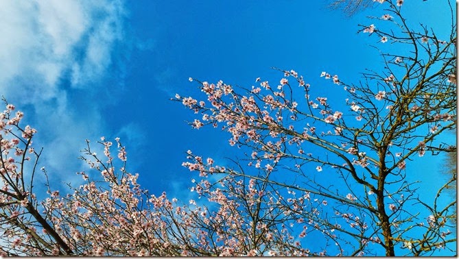 pic20150308_101541 pic20150308_101541