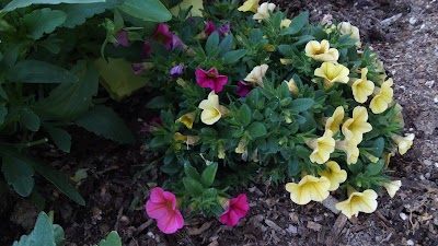 2014-05-31 16.12.46.jpg