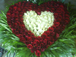 http://lh3.ggpht.com/-7cI_kUa0twg/UDM-ia_W67I/AAAAAAAAAIE/Vm9ggaafkMM/57082_1665359313414_4530265_o.png