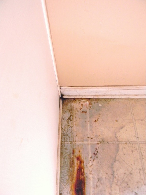 [fridge%255B5%255D.jpg]