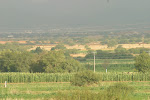 905-0534_IMG.JPG