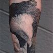 Eagle #8