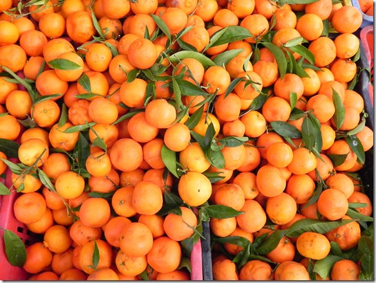 sweet-orange-buns-10 sweet-orange-buns-10