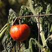PA282348_Blog.jpg