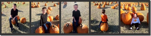 Picnik collage111
