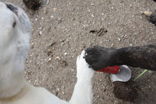 See?  We dig well together!