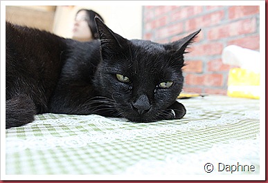 IMG_6265 IMG_6265