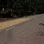 We almost crashed on this stretch of peanuts shamelessly claiming half of the roadway to dry. There was no warning and it was situated on the top of a hill with a big banner above it saying "Happy New Year" in Vietnamese. I was reading the sign and Paige yelled "Look!" We are alive to tell you about it.