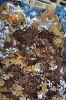 pinoyecofarm vermicomposting seminar _0073.JPG