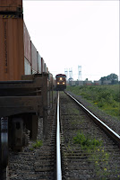 DSC_4522.jpg DSC_4522.jpg
