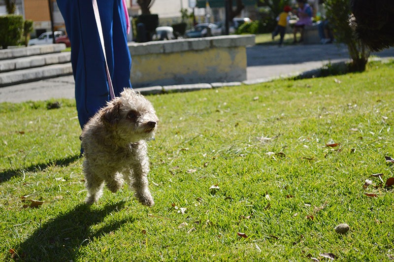 [DSC_0140%255B5%255D.jpg]