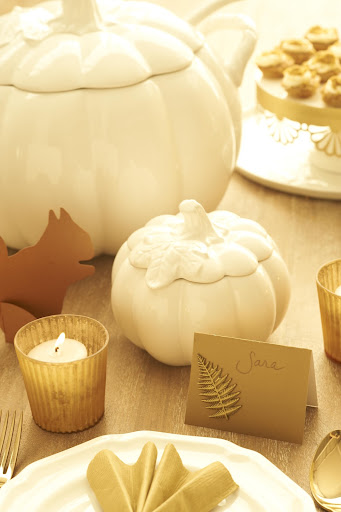 This paper squirrel from Paper Source makes for cute table decor -- you can use as placecards. For the place cards I created, I took Paper Source paper and folder into tented cards, then added a few Martha Craft stickers to make hem more special. The MS Collection Figural Pumpkin collection is perfect for this Holiday! This paper squirrel from Paper Source makes for cute table decor -- you can use as placecards. For the place cards I created, I took Paper Source paper and folder into tented cards, then added a few Martha Craft stickers to make hem more special. The MS Collection Figural Pumpkin collection is perfect for this Holiday!