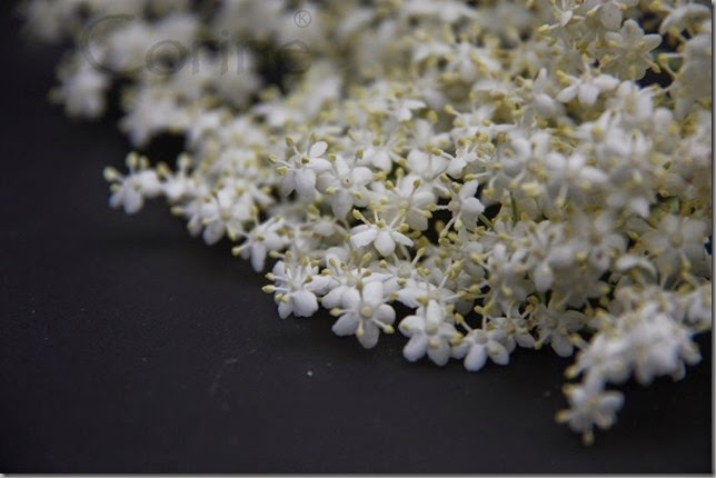 millefleur millefleur