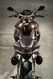 Vilner-Aprilia-Stingray-19 Vilner-Aprilia-Stingray-19