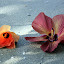 Flowers On The Beach - Oak Beach, Australia