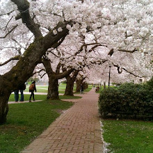 It’s Spring at the UW