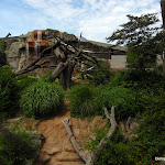 zoo_habitat.JPG