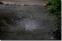 rain7