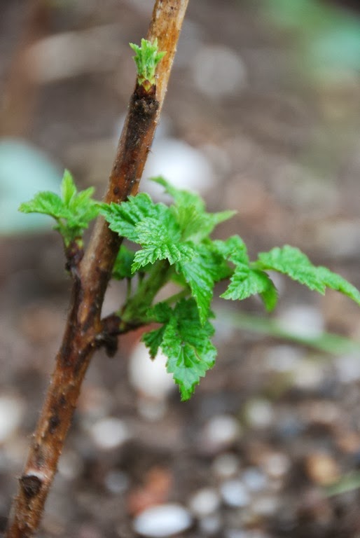 [DSC_0305%255B6%255D.jpg]