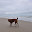 DSC_0201.jpg