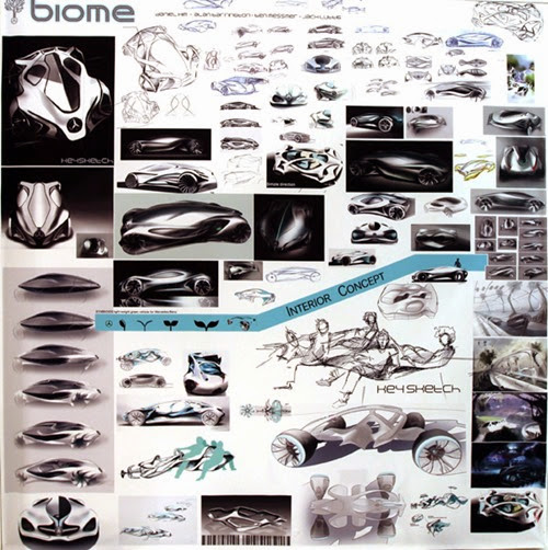 BiomeCar2