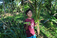 pinoyecofarm december _0141.JPG