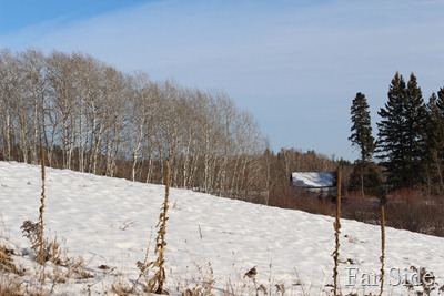 Minnesota Landscape