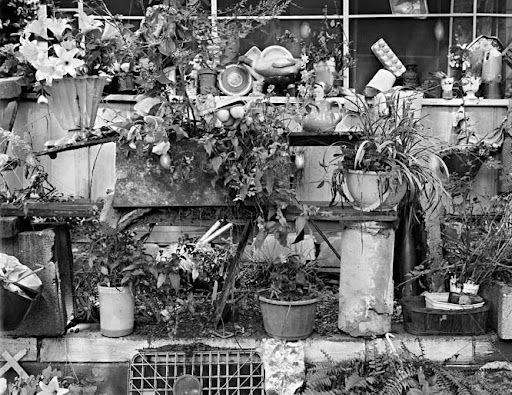 Annie Belle Sturgehill garden, Athens, Georgia, 1988. Annie Belle Sturgehill garden, Athens, Georgia, 1988.