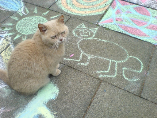 Annoying Reflextion art-critic-cat-trouble
