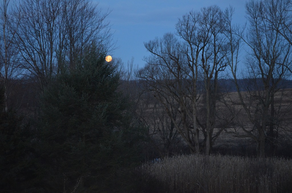 [DSC_0016%255B7%255D.jpg]