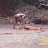 P1050239.JPG