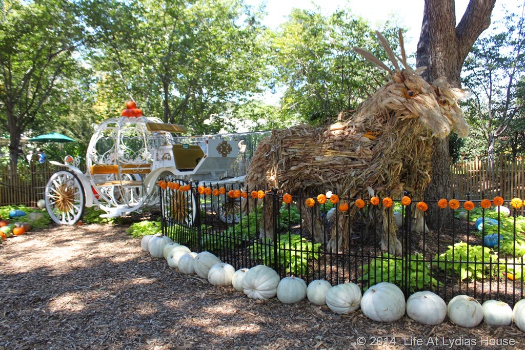 [Dallas-Arboretum---pumpkin-festival-%255B22%255D.jpg]