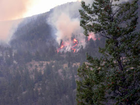 SpotFire090809.JPG