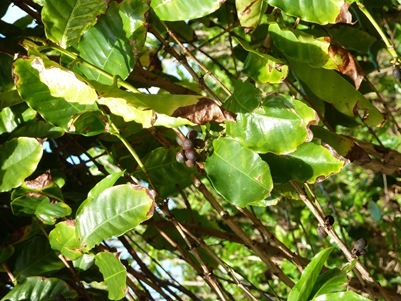 P1120530 P1120530